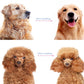 🐕 50% DE RÉDUCTION ✂️ Outil démêlage chien/chat – Double rangée, anti-rayures & efficace ✨