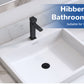 🔧🛁 Filtre lavabo universel – 3 en 1 : crépine inox, collecteur de cheveux et bouchon pop-up, s’adapte à tous les diamètres (1,1–2,36 pouces) 🖤💧