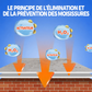 Spray anti-moisissures puissant 3-en-1 – Élimination rapide des taches sur murs et joints, aide à prévenir leur retour