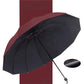 Parapluie robuste et compact à 12 baleines – résiste au vent et se plie facilement