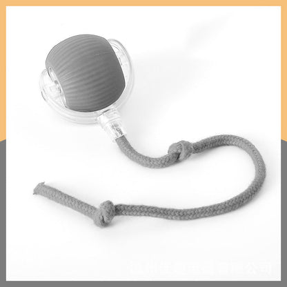🔥Boule Roulante Automatique Intelligente pour Animaux de Compagnie