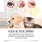 Spray naturel anti-puces et anti-tiques pour chiens et chats 🐾 Protégez votre compagnon adoré des parasites 🐾