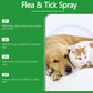 Spray naturel anti-puces et anti-tiques pour chiens et chats 🐾 Protégez votre compagnon adoré des parasites 🐾