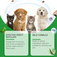 Spray naturel anti-puces et anti-tiques pour chiens et chats 🐾 Protégez votre compagnon adoré des parasites 🐾