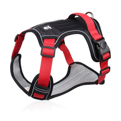 💐60% DE RÉDUCTION ! Harnais anti-traction avec laisse LED – Sécurité maximale pour vos promenades nocturnes 🐕✨【Offre Limitée】