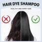 Shampoing Colorant Instantané aux Extraits de Plantes pour Hommes et Femmes