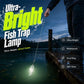 🐟Lampe ultra-lumineuse pour casier de pêche