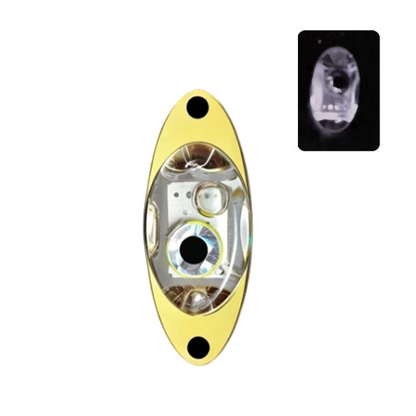 🎣 Appâts de pêche sous-marine à LED – éclairez les fonds marins et attirez les poissons en un clin d'œil ! 💡🐟✨