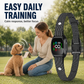 🛡️🐾 50% DE RÉDUCTION ! Collier anti-aboiement – Système intelligent anti-décalage qui filtre les autres aboiements. Étanche (IP67) et rechargeable par USB – un dressage en toute sérénité, où que vous soyez ! 💦✅