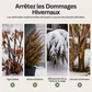 ❄️ Couverture antigel pour plantes | Protection hivernale pour jardin