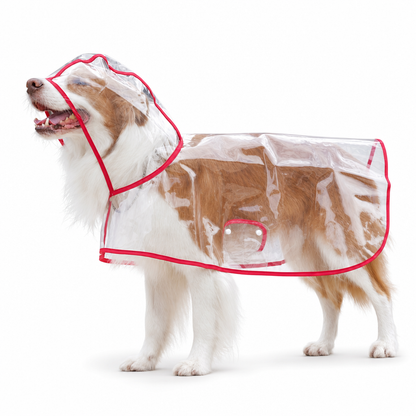 Imperméable transparent pour chien avec capuche – Du XS au 8XL